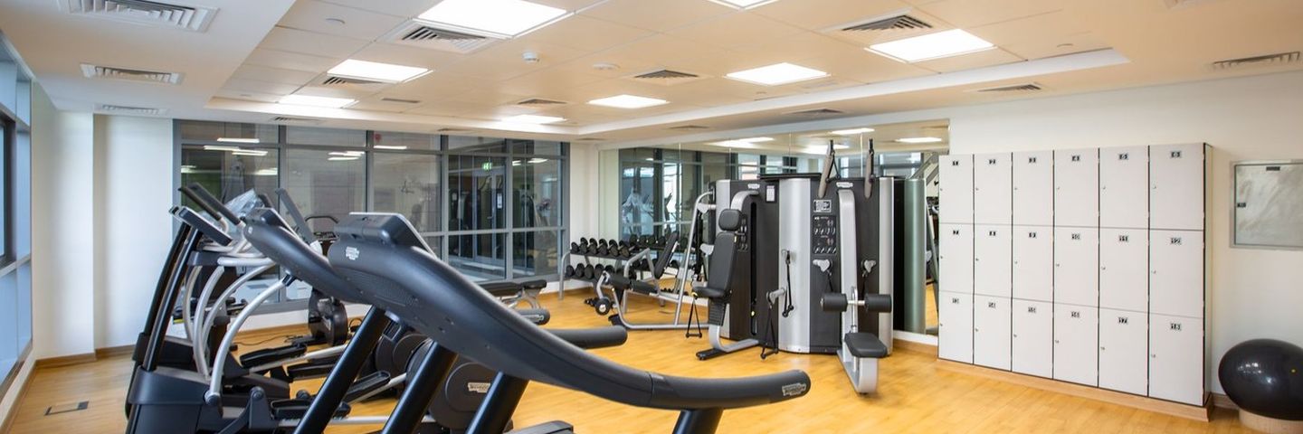 Weights racked in a training gym